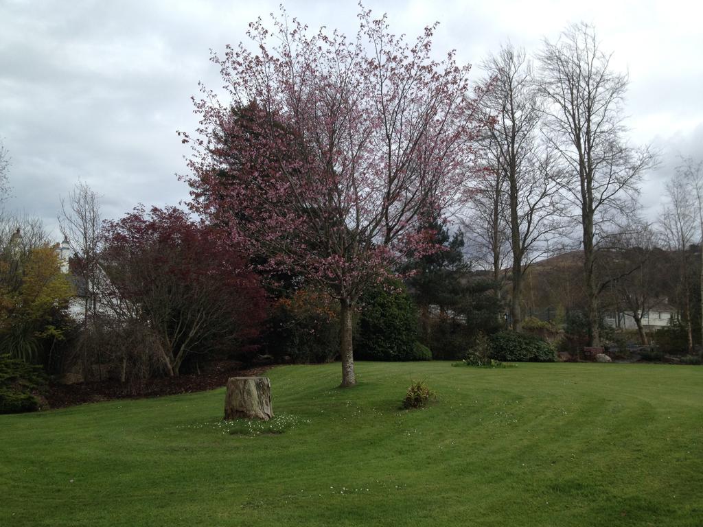 Raheen House Hotel Clonmel Zewnętrze zdjęcie